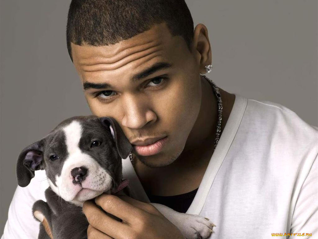 chris, brown, 